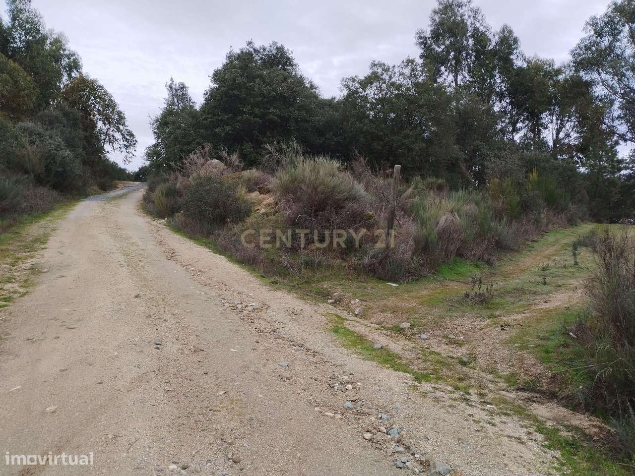 Terreno rustico com casa de Pedra-6