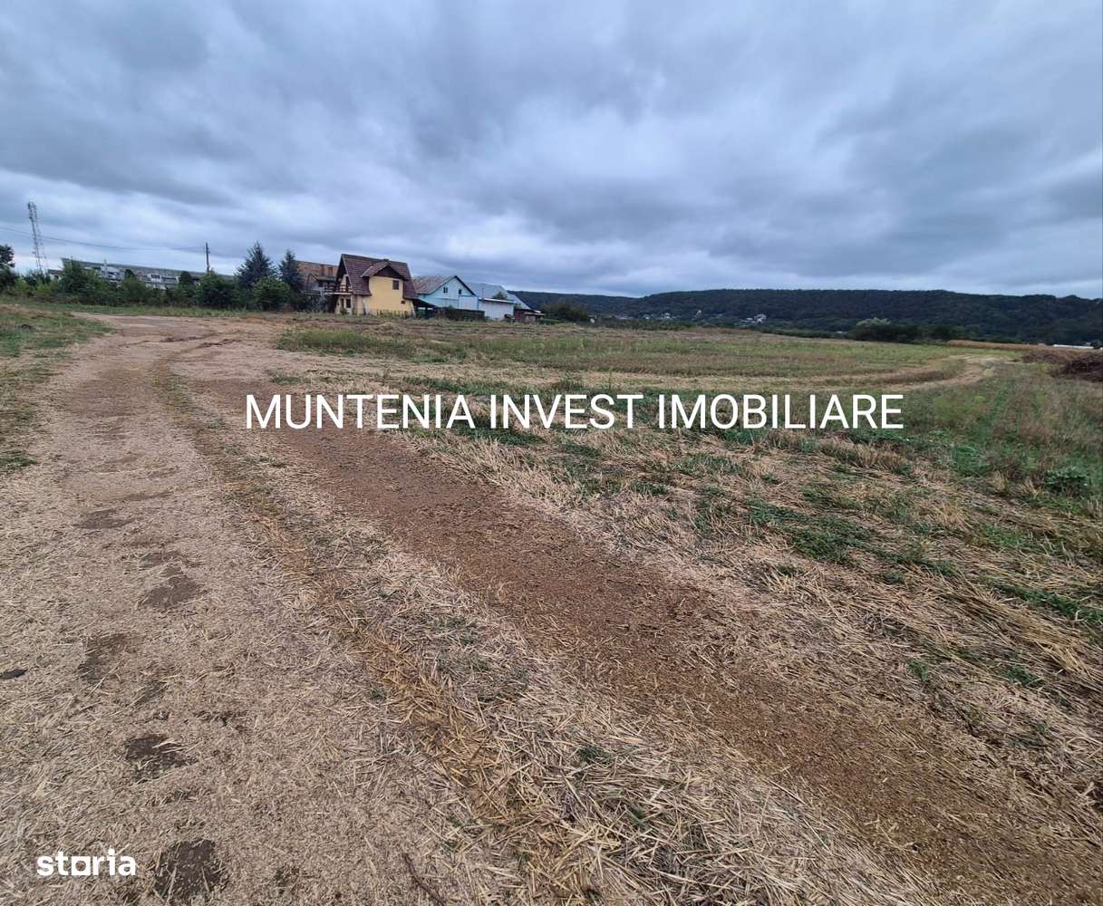 Teren intravilan  57000mp. posibilitate parcelare, Zona Mărăcineni-1
