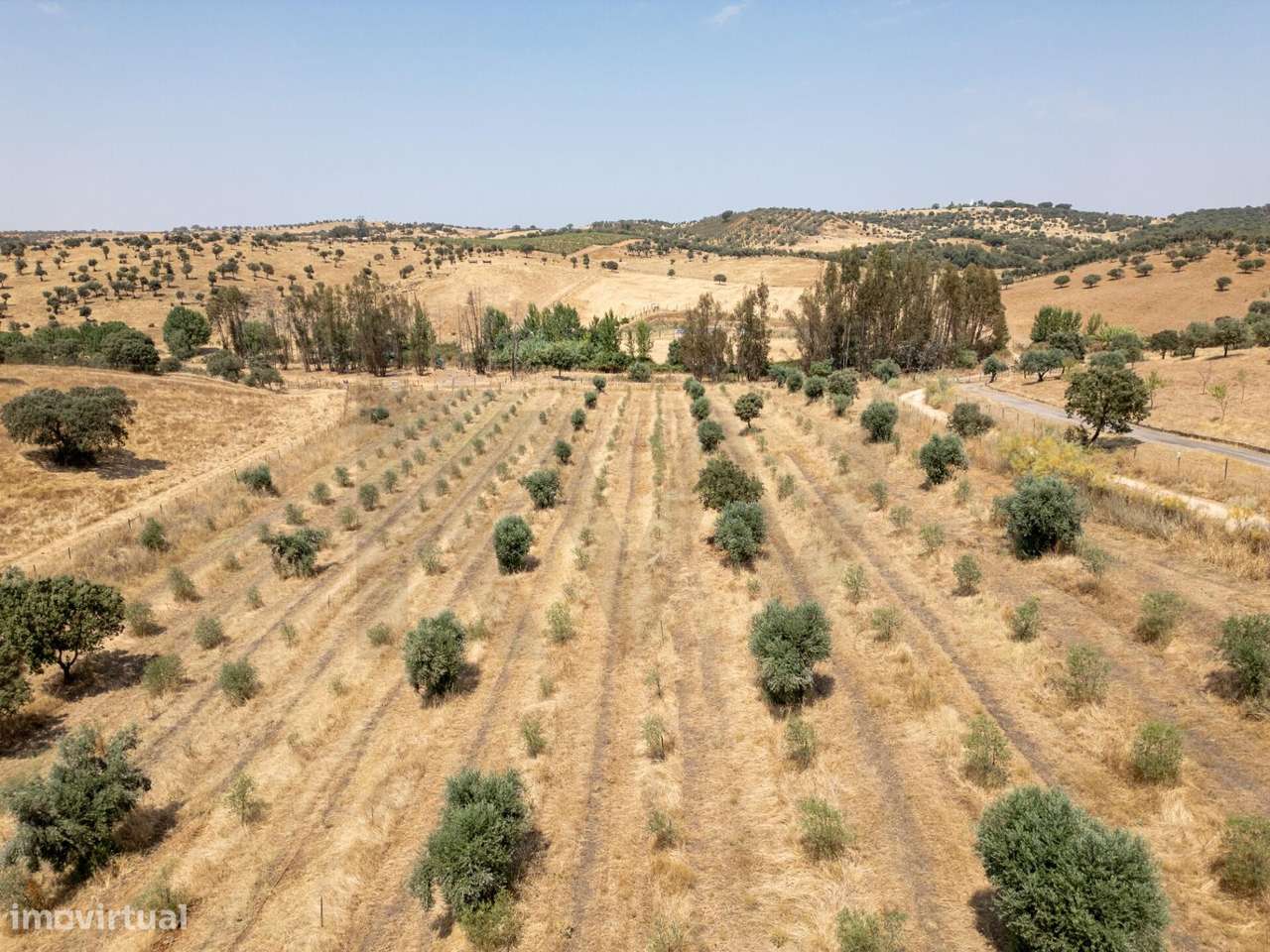 Herdade Agrícola e Turística com 64 ha | Vendinha – Évora | Totalmente - Grande imagem: 5/21