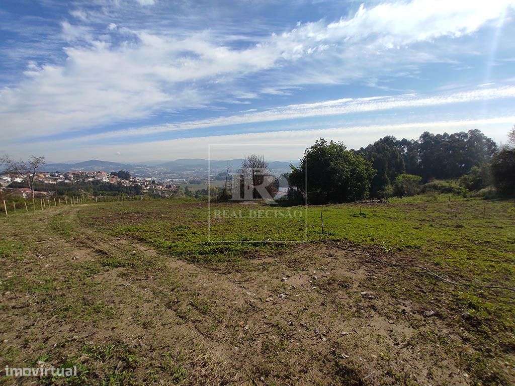 Quinta com 15000m2 em Santo Tirso-10