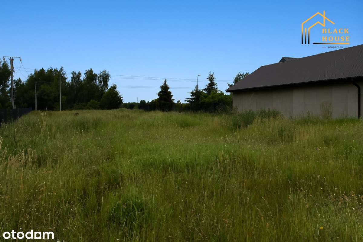 Piękna działka w okolicy Łęcznej, 1ha - Pełny obrazek: 2/2