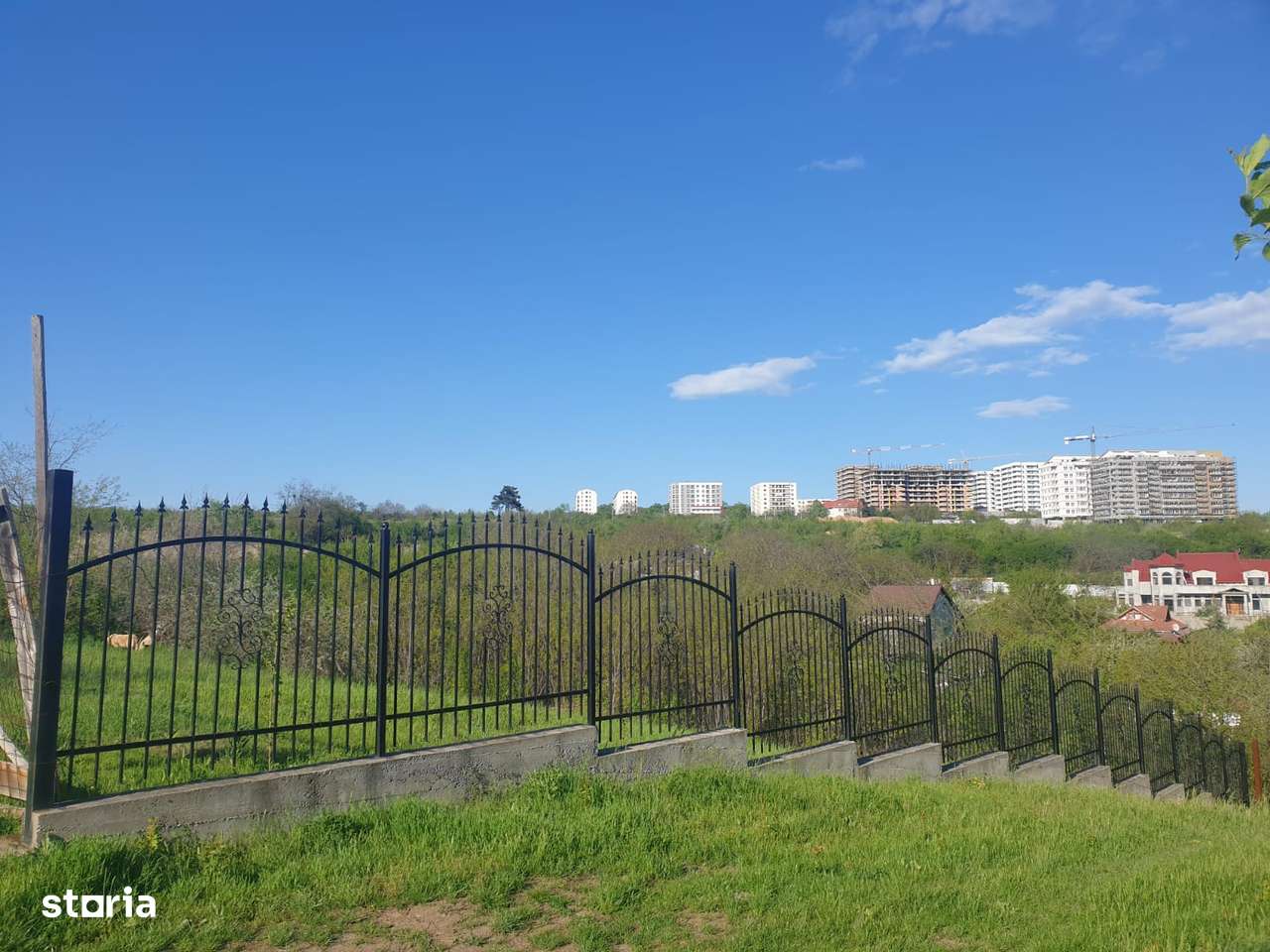 Teren intravilan IASI - COPOU - VITICULTORI -  in vecinatatea padurii-10