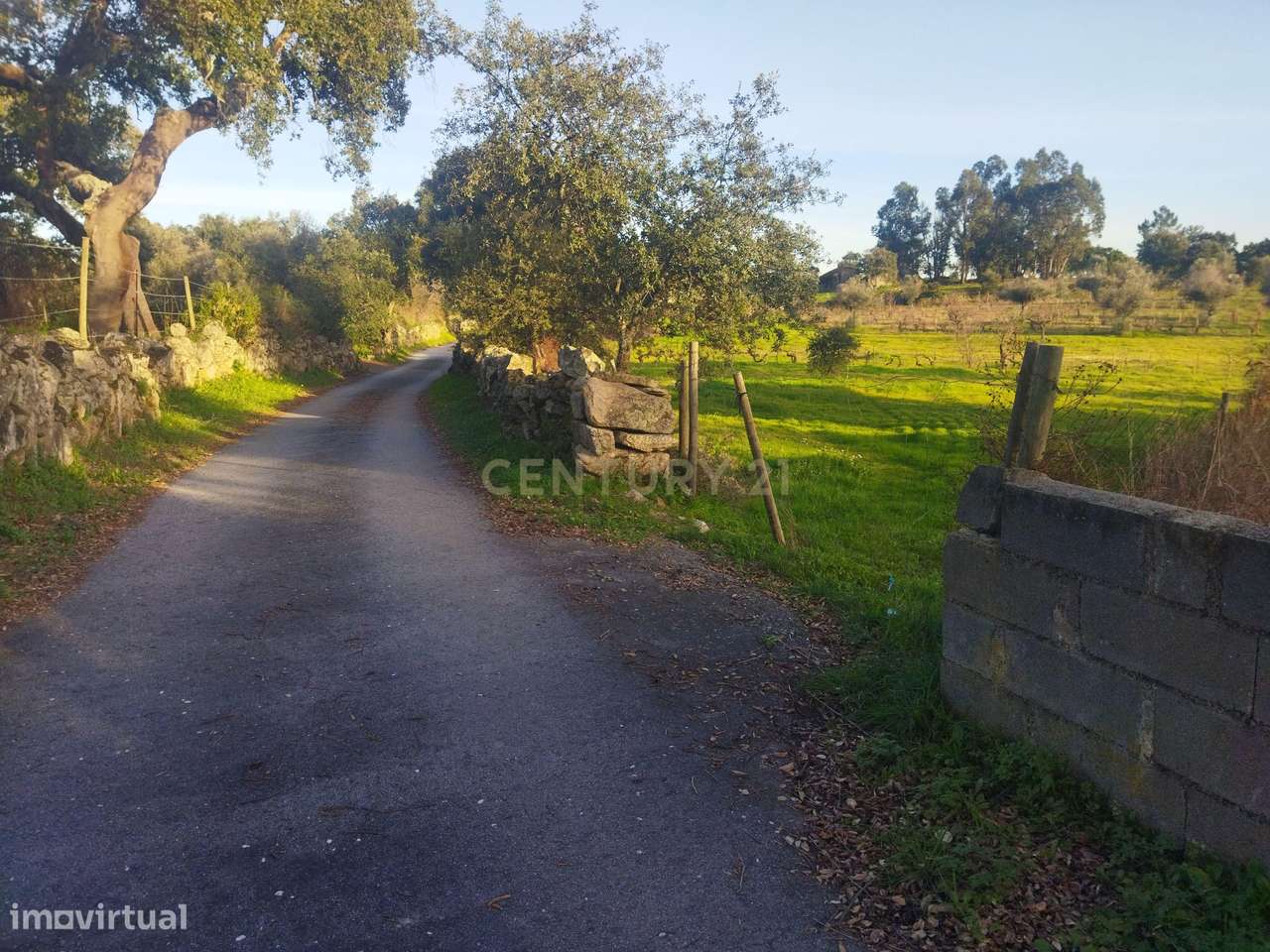 Terreno Rustico, Lousa, Castelo Branco - Grande imagem: 2/10