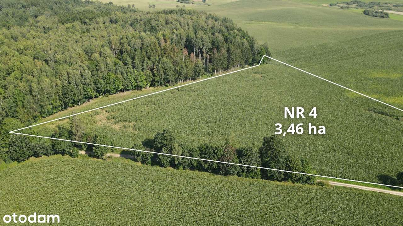 Działki rolne Klejdyty / 7,5 ha / IV klasa - Pełny obrazek: 4/8