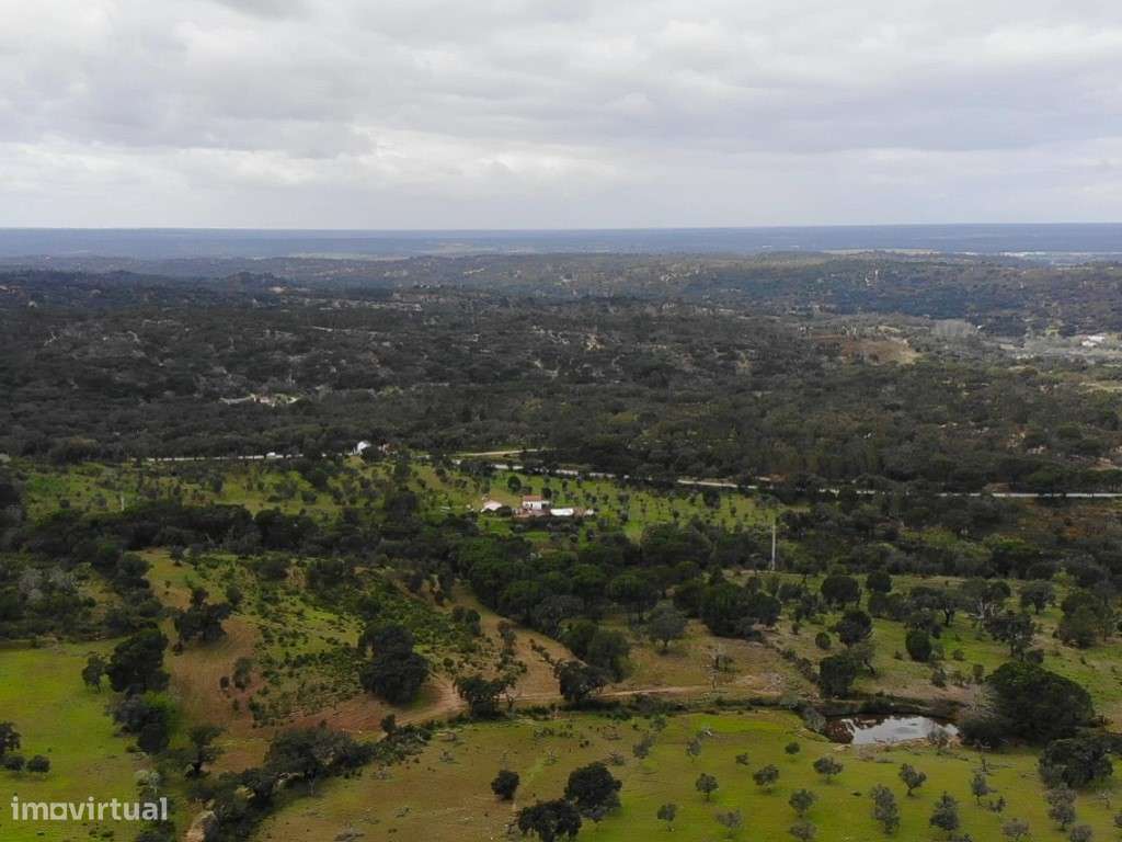 QUINTA COM 5HA DE TERRENO COM 500M2 URBANO - GALVEIAS - PONTE DE SOR-23