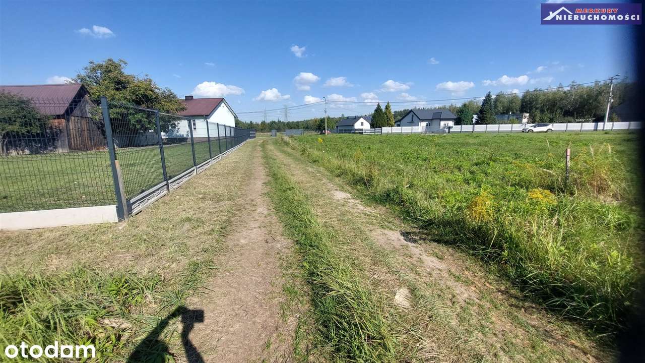 Na nowym osiedlu w pobliżu lasu-5