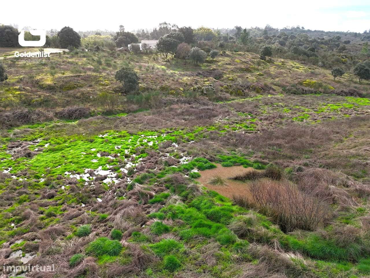 Terreno  Venda em São Miguel de Acha,Idanha-a-Nova-14