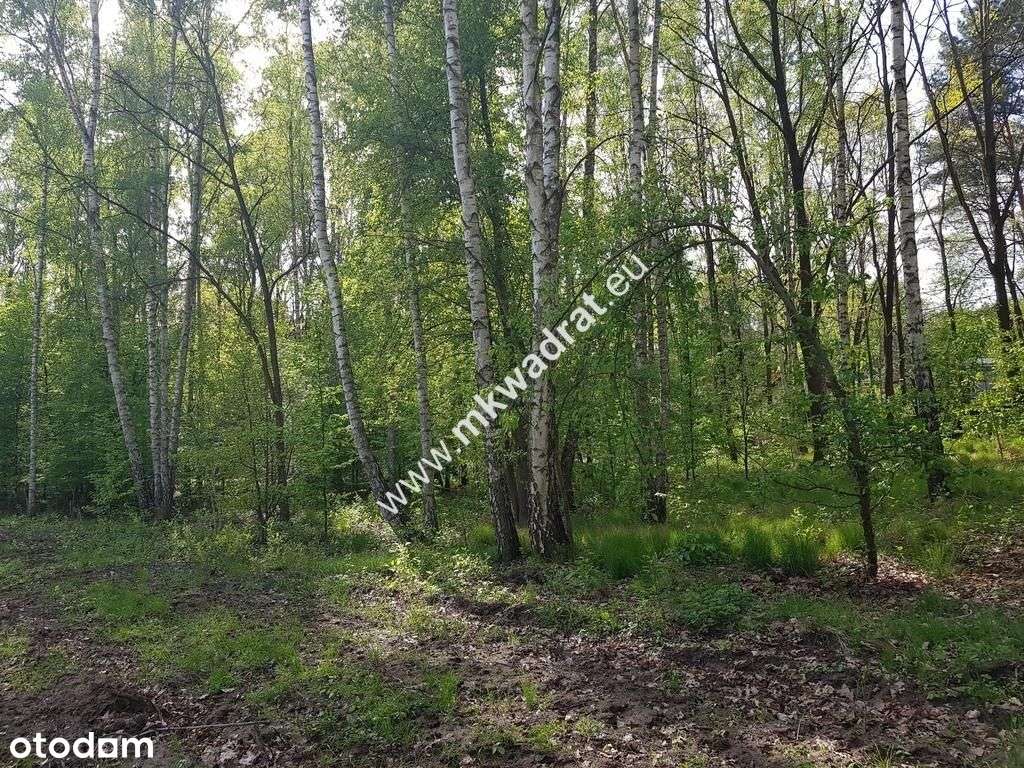 Działka Rolna z możliwością zabudowy - Pełny obrazek: 4/5