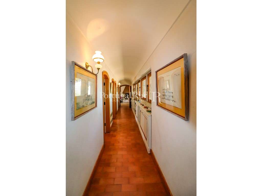 Quinta de 4 ha com 3 casas e cerejeiras no Fundão, ideal para turismo-33