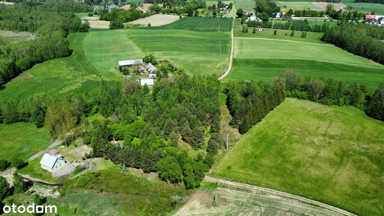 Sejny - teren budowlany nad jeziorem - 200m linii - 9 zl/m2-8
