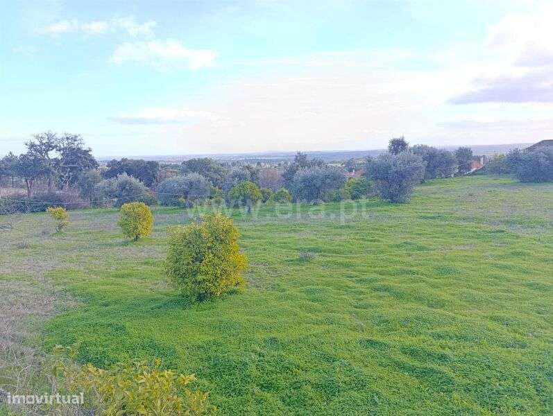 Quinta T1 / Fundão, Vale Prazeres - Grande imagem: 4/16