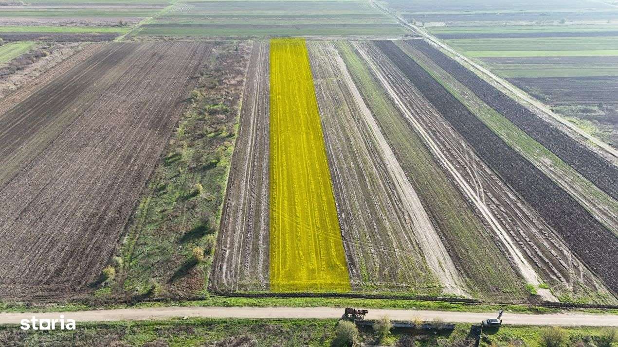 Teren 10.000 mp, parcelabil, ideal ansamblu case P+1 | Gulia - Dambovi-4