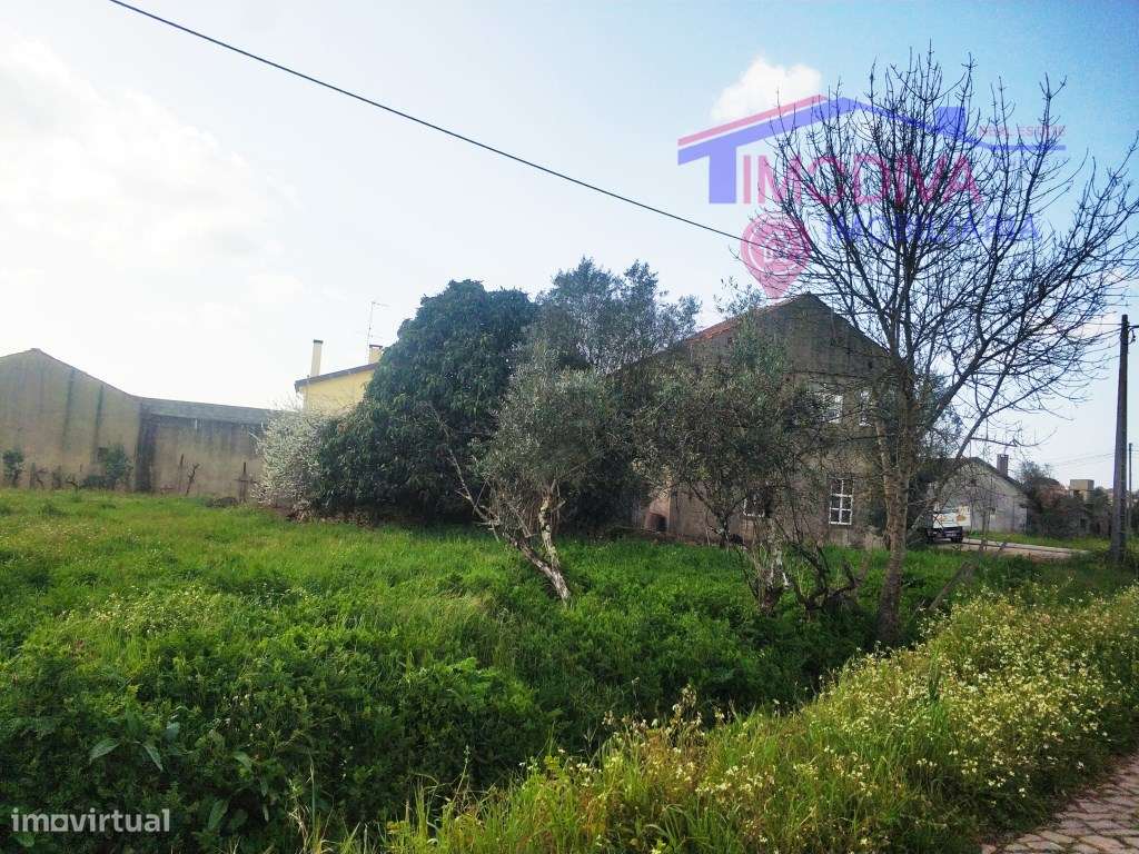 Quinta rural com ribeira - Grande imagem: 4/23