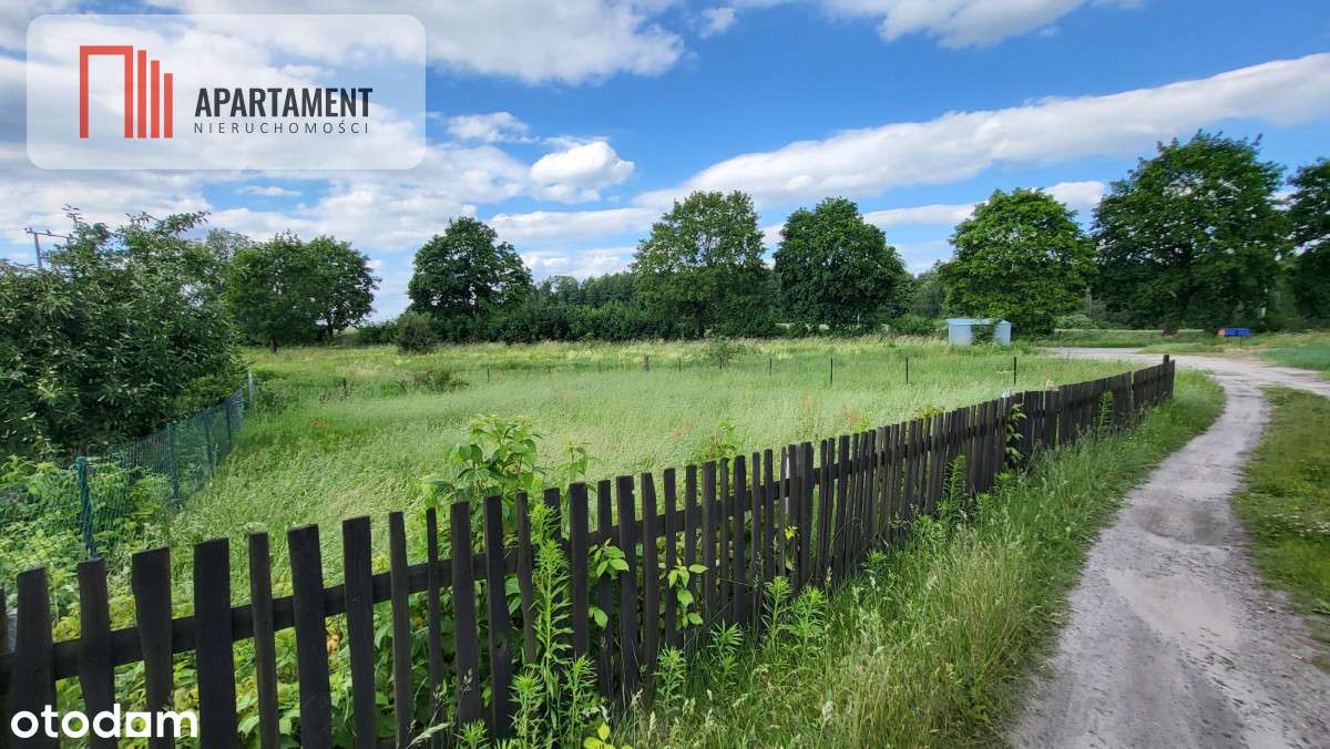 Józefinowo, duże mieszkanie bezczynszowe. - Pełny obrazek: 3/10