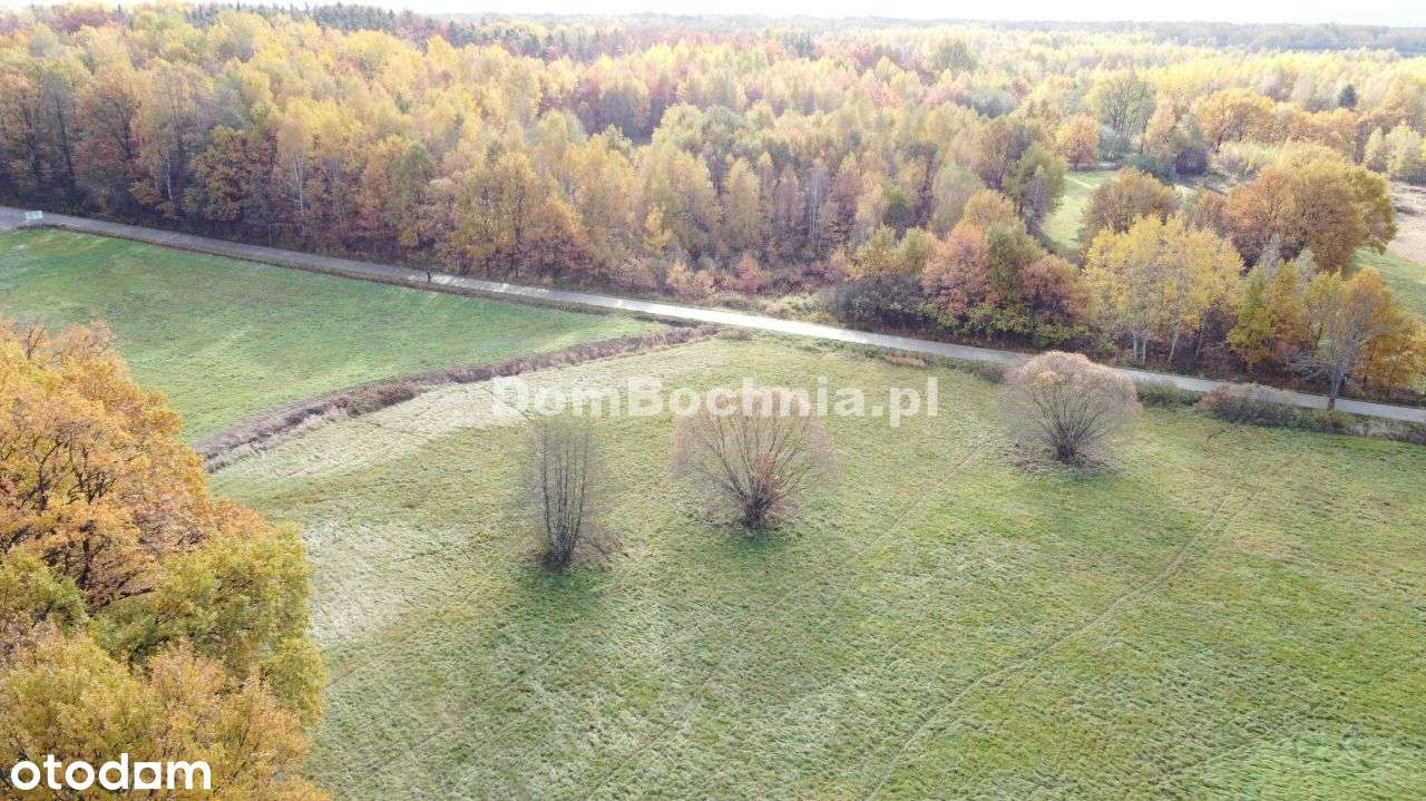 38ar budowlana przy drodze Borek Rzezawa-6