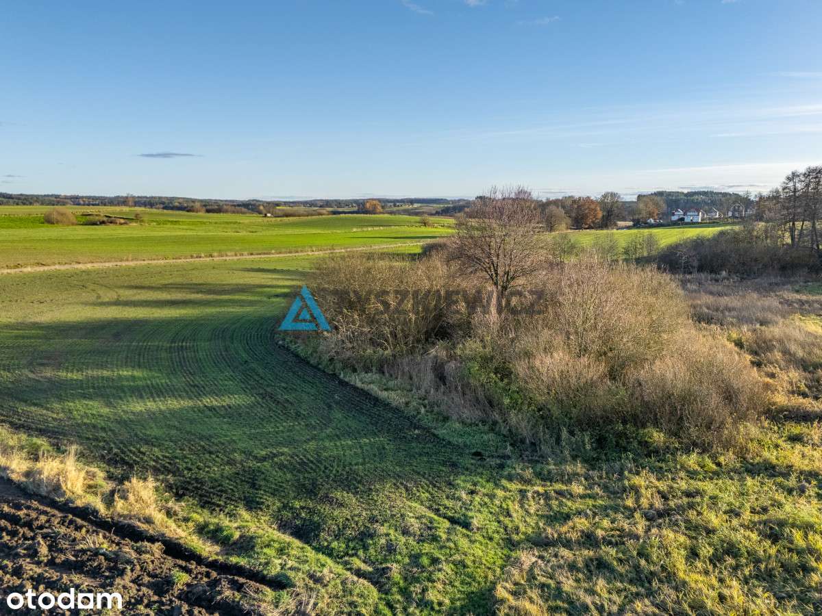 Działka na sprzedaż blisko jeziora Grabowskiego - Pełny obrazek: 5/20