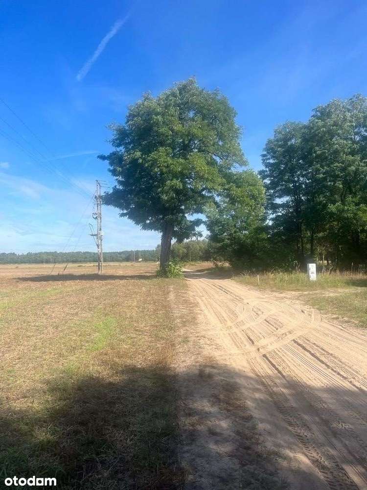 Działka budowlana blisko zalewu w Kobylej Górze - Pełny obrazek: 4/9