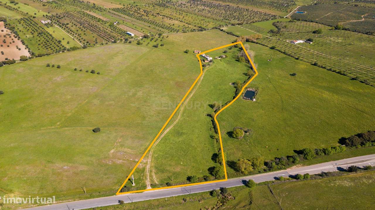 Terreno em Mourão - Alentejo-12
