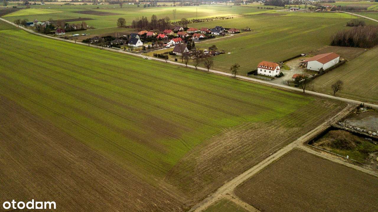 Działka budowlana  Stępin - Pełny obrazek: 3/16