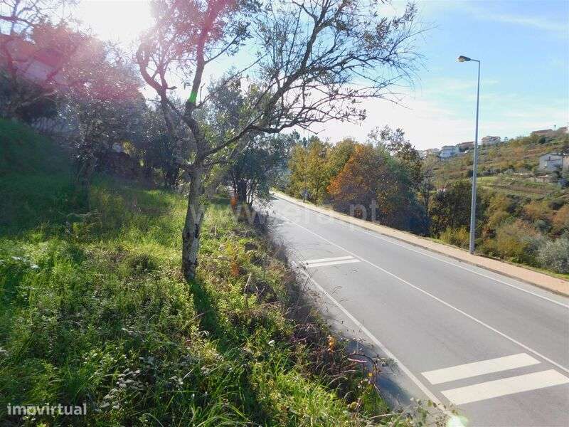 Terreno / Seia, Seia, São Romão e Lapa dos Dinheiros - Grande imagem: 1/11