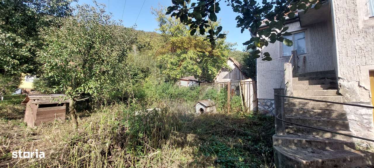 Casă  individuala cu teren generos-10