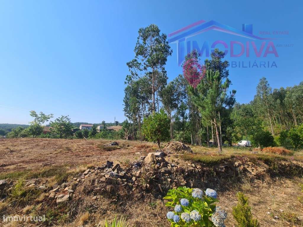Propriedade Rústica com Potencial de Construção | Salaborda - Pedró...-0