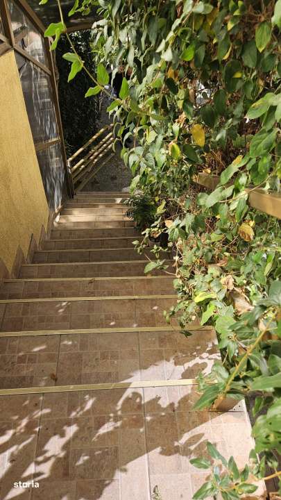 Casa curte- Metrou Pieptanari - Imagine principală: 4/14