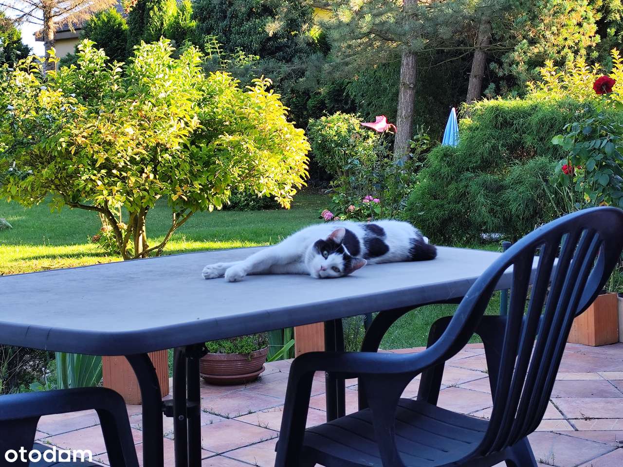 Dom z piękną działką, dojazd - 10 minut pociągiem od Wrocławia-14