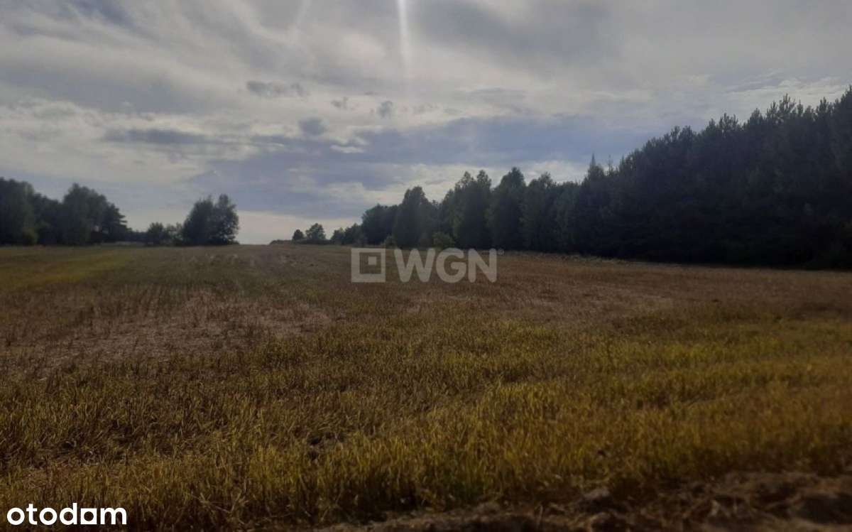 Działka, 29 500 m², Jaworznik - Pełny obrazek: 5/14