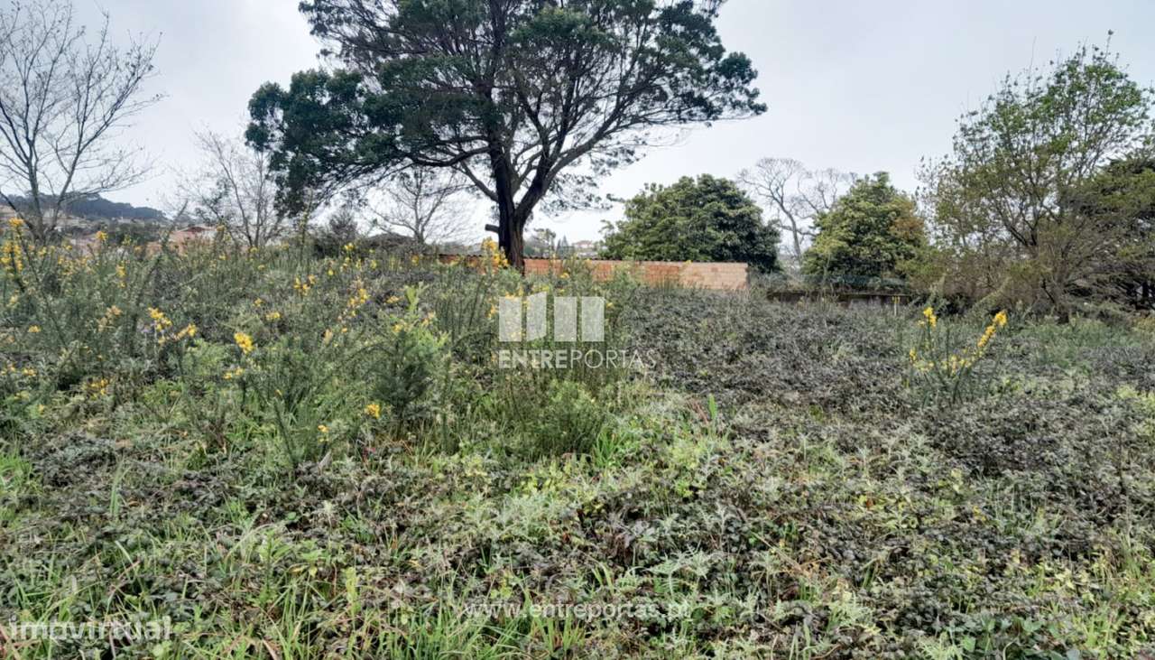 Venda de Lote para construção, Afife, Viana do Castelo - Grande imagem: 5/32