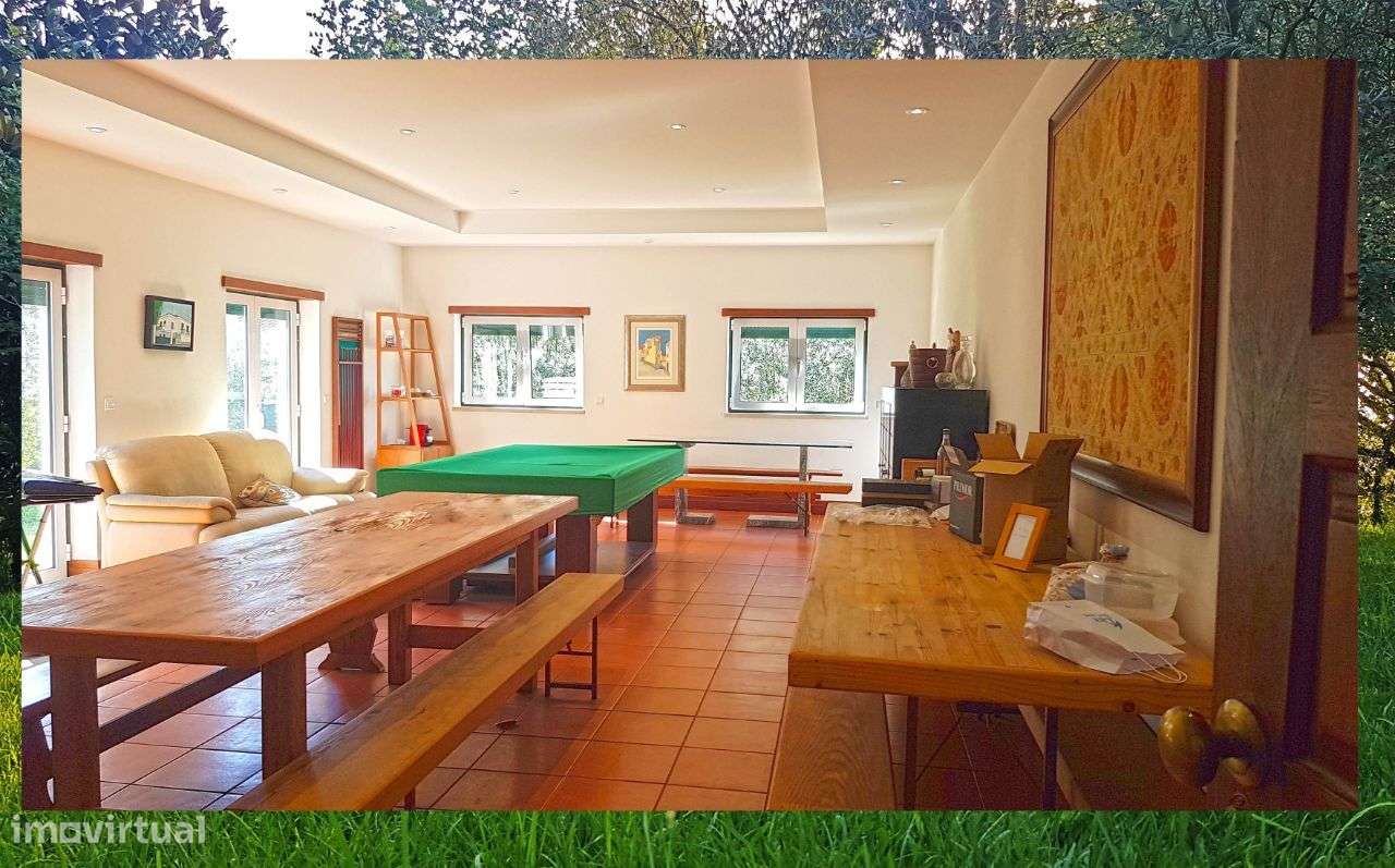 Quintinha com Mata secular-14