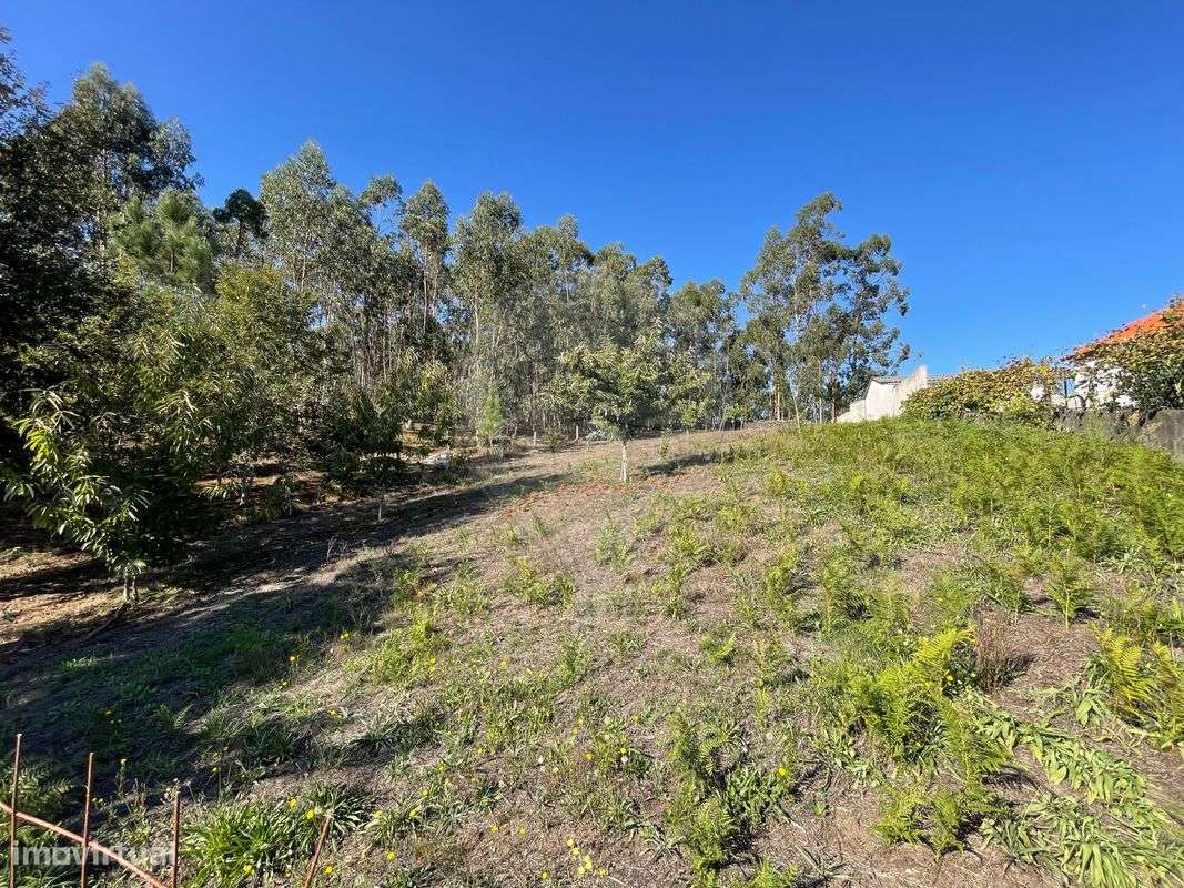 Terreno  para venda - Grande imagem: 4/13