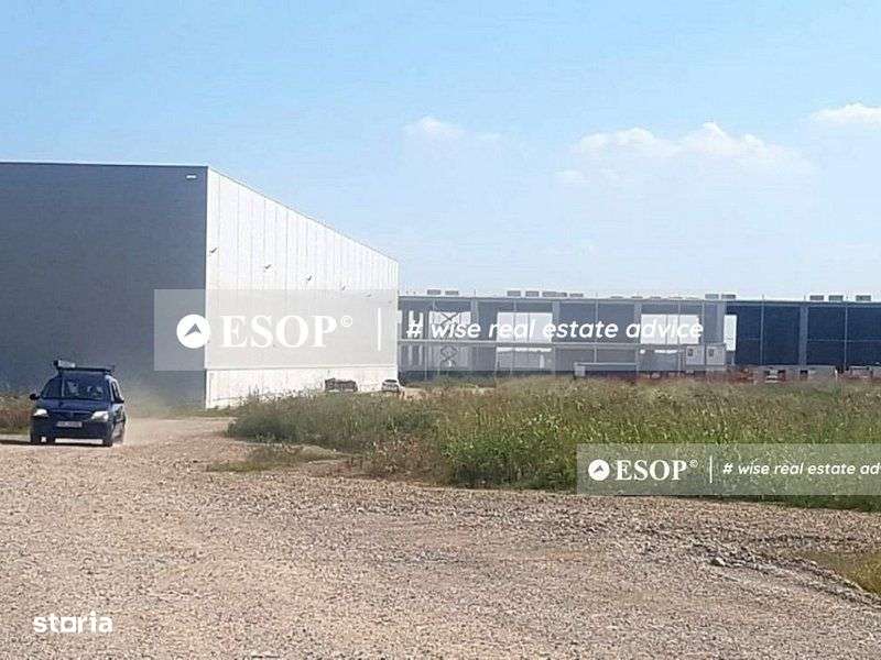 WDP Industrial Park Paulesti, hale de inchiriat, 2.500 - 14.150 mp - Imagine principală: 3/3