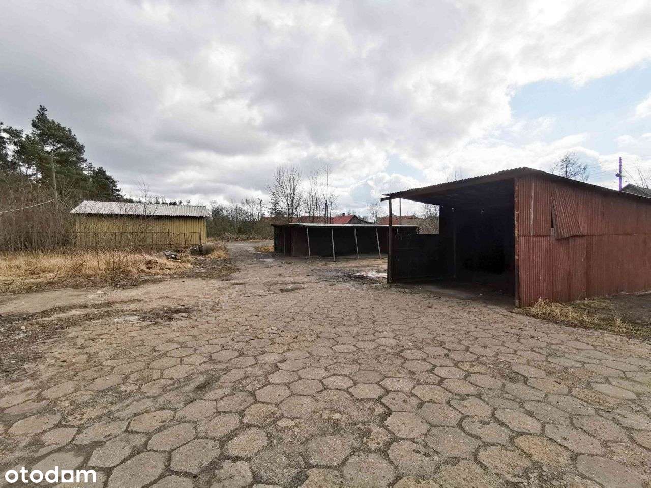 Działka, 7 297 m², Janów-16