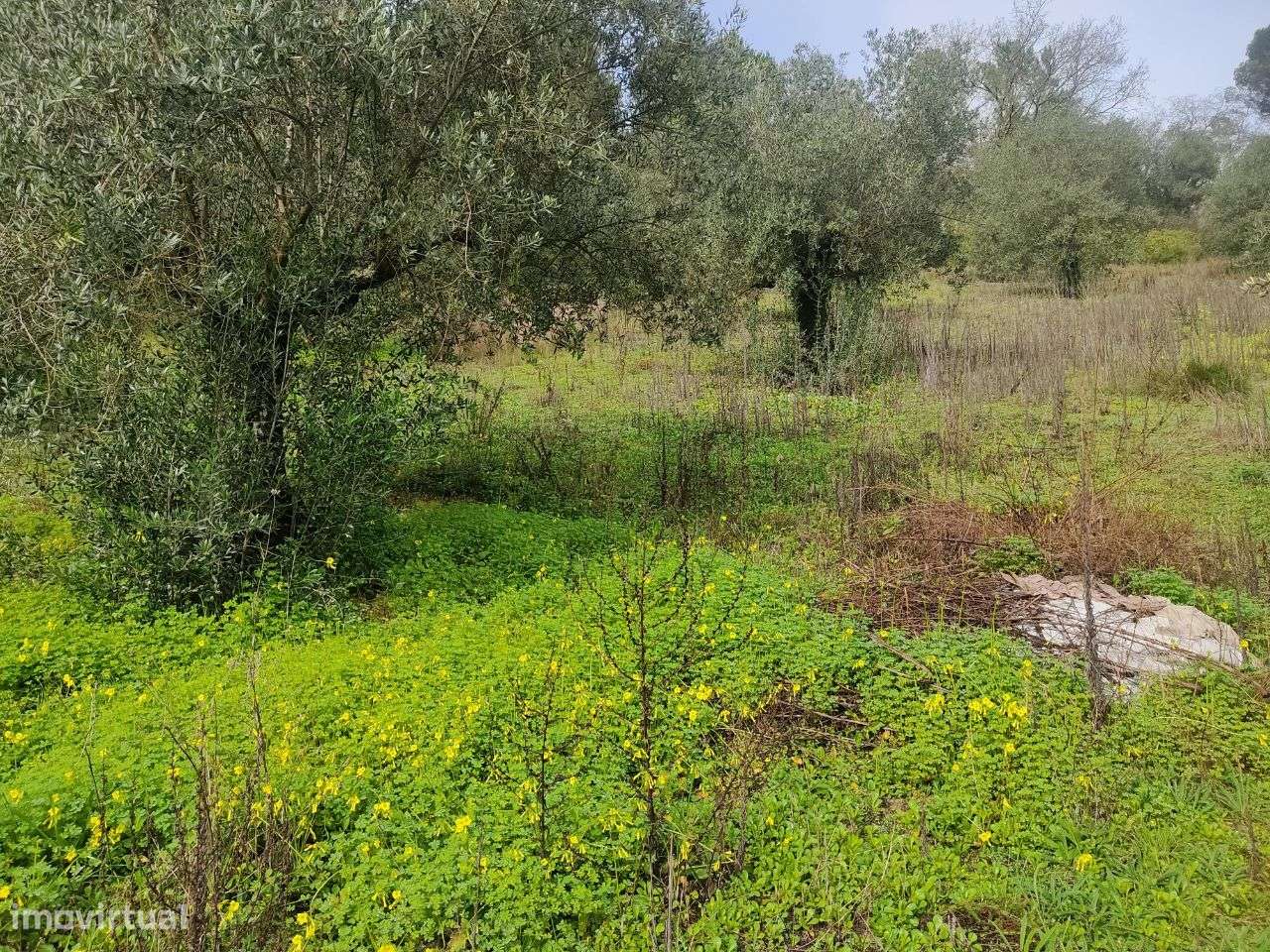 Terreno Rústico localizado no Alqueidão, Ourém - Grande imagem: 3/10