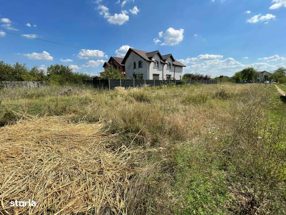 TEREN DE VANZARE DOMNESTI, 600 mp - Imagine principală: 2/6