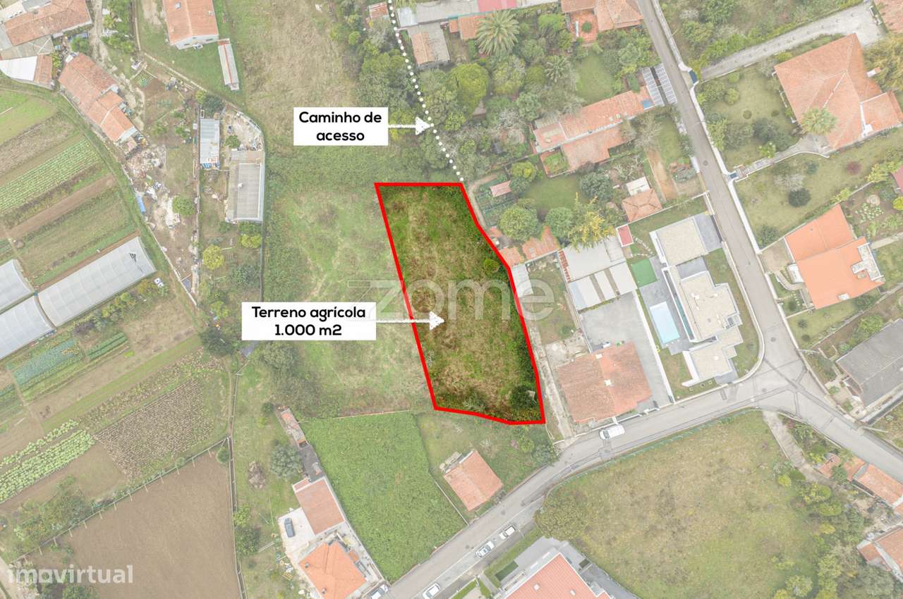 Terreno com 1.000 m2 para arrendamento agrícola, Grijó - V.N. Gaia - Grande imagem: 2/17