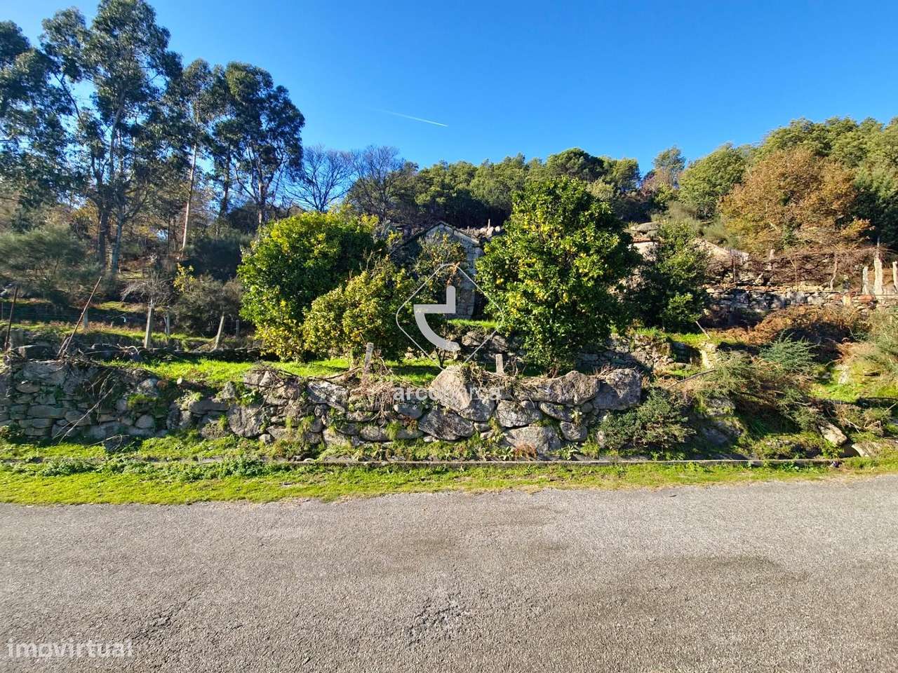 Moradia Rústica em Pedra para Restauro - Grande imagem: 5/35