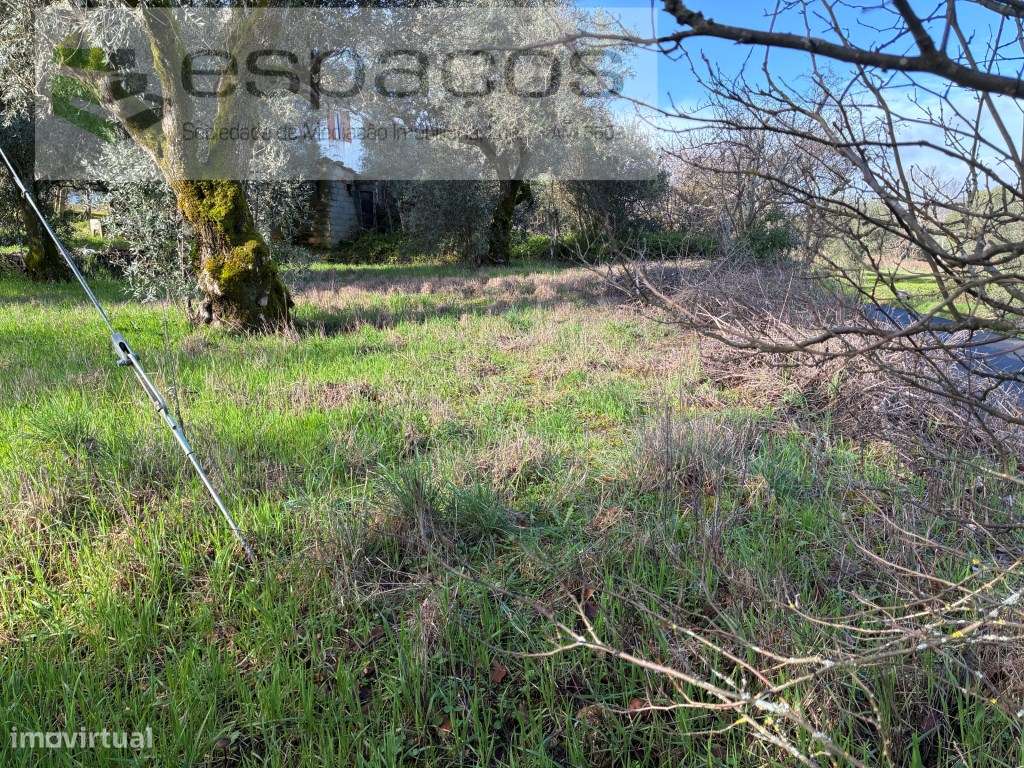 Terreno Urbano - Grande imagem: 4/14