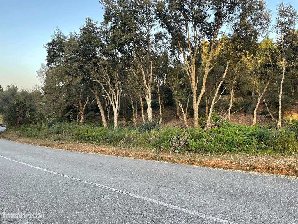 Lote para construção, Ingote - Grande imagem: 4/4