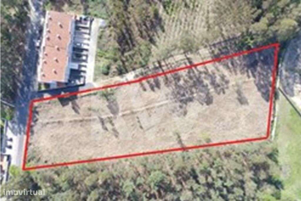 Oportunidade Única de Investimento - Grande imagem: 4/6