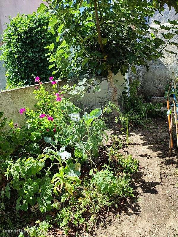 Apartamento T1 para venda-5