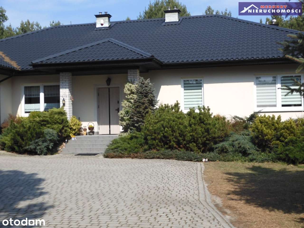 Na obrzeżach miasta. - Pełny obrazek: 3/11