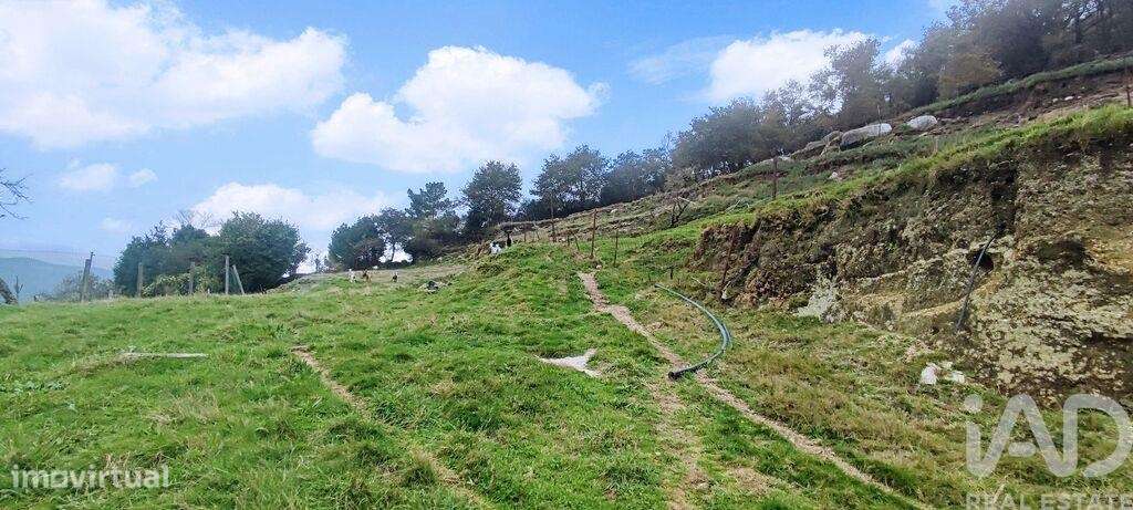 Casa / Villa T2 em Labrujó, Rendufe e Vilar do Monte de 140 m2 - Grande imagem: 5/40
