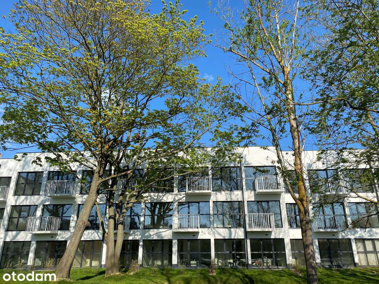 2 jasne pokoje blisko morza. Sauny. - Pełny obrazek: 5/8