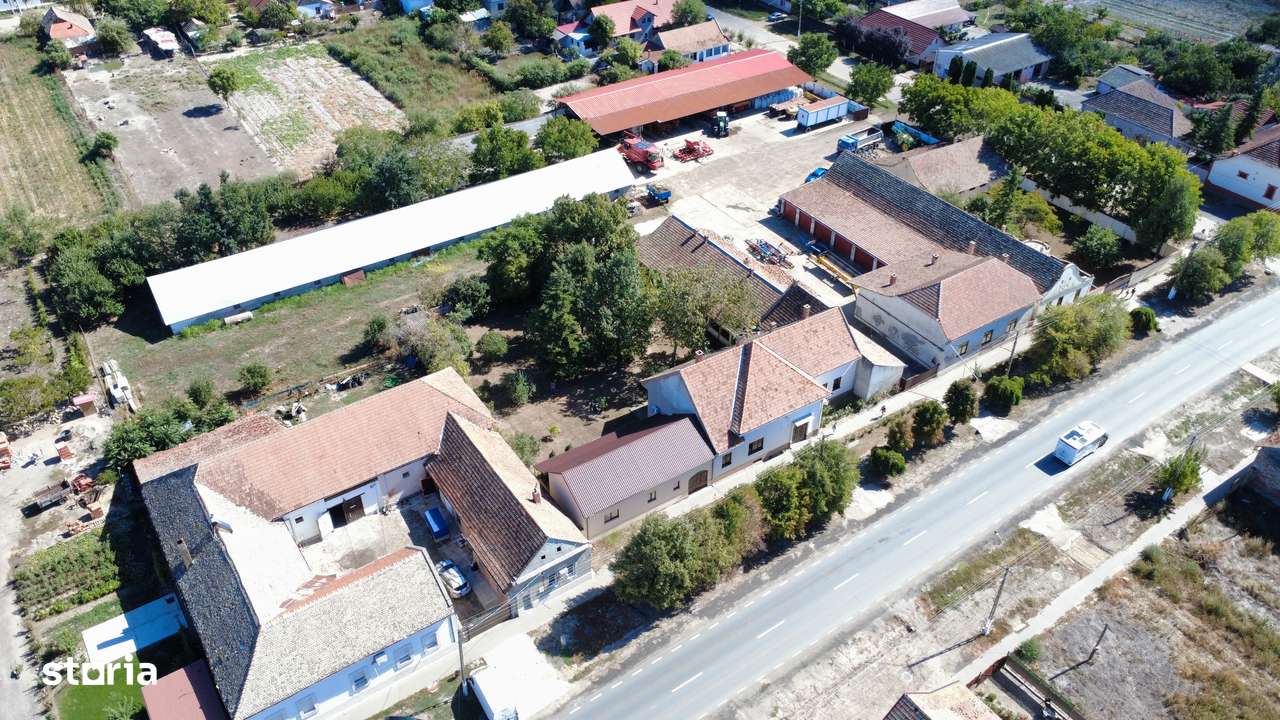 Cenad-Posibilitate Afacere-casa si 669mp teren-Ultracentral-8