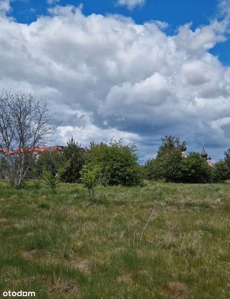 Działka rolno-budowlana 5226m2 Bielsk Podlaski - Pełny obrazek: 4/8