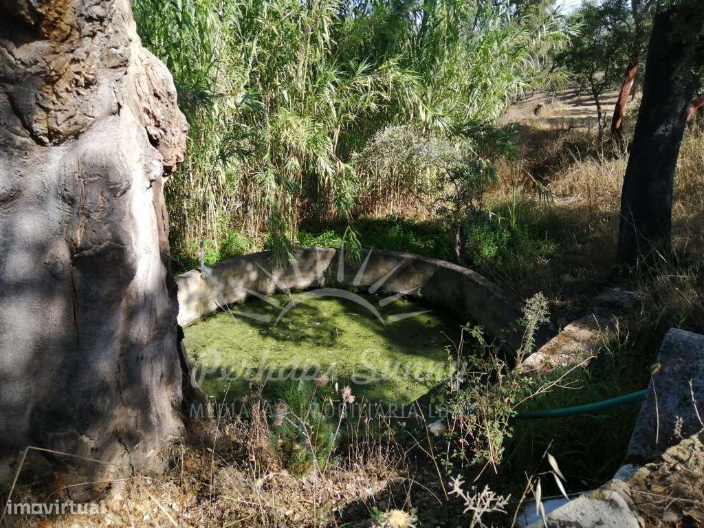 Terreno Misto - Grande imagem: 5/18