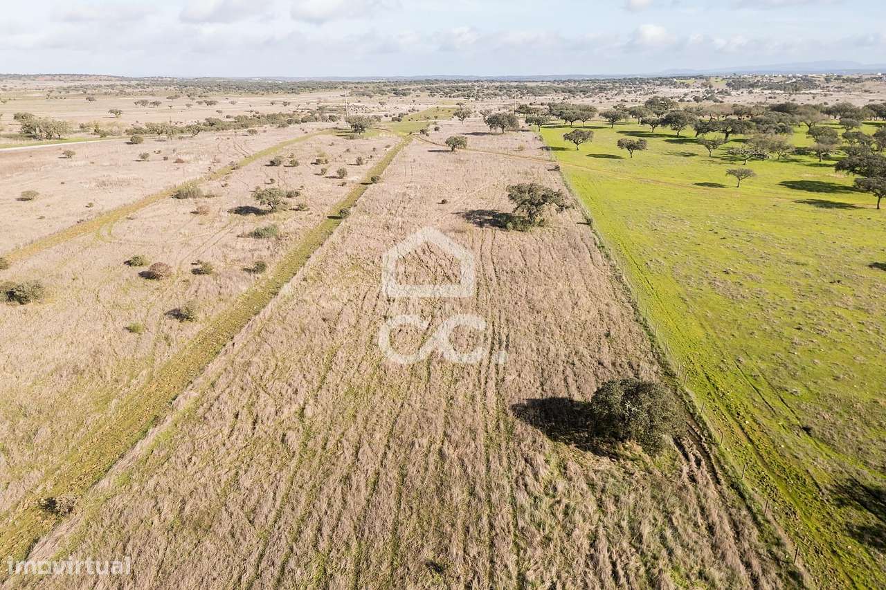Terreno de 5,4 ha c/ Viabilidade de Construção | Capelins, Alandroal-45