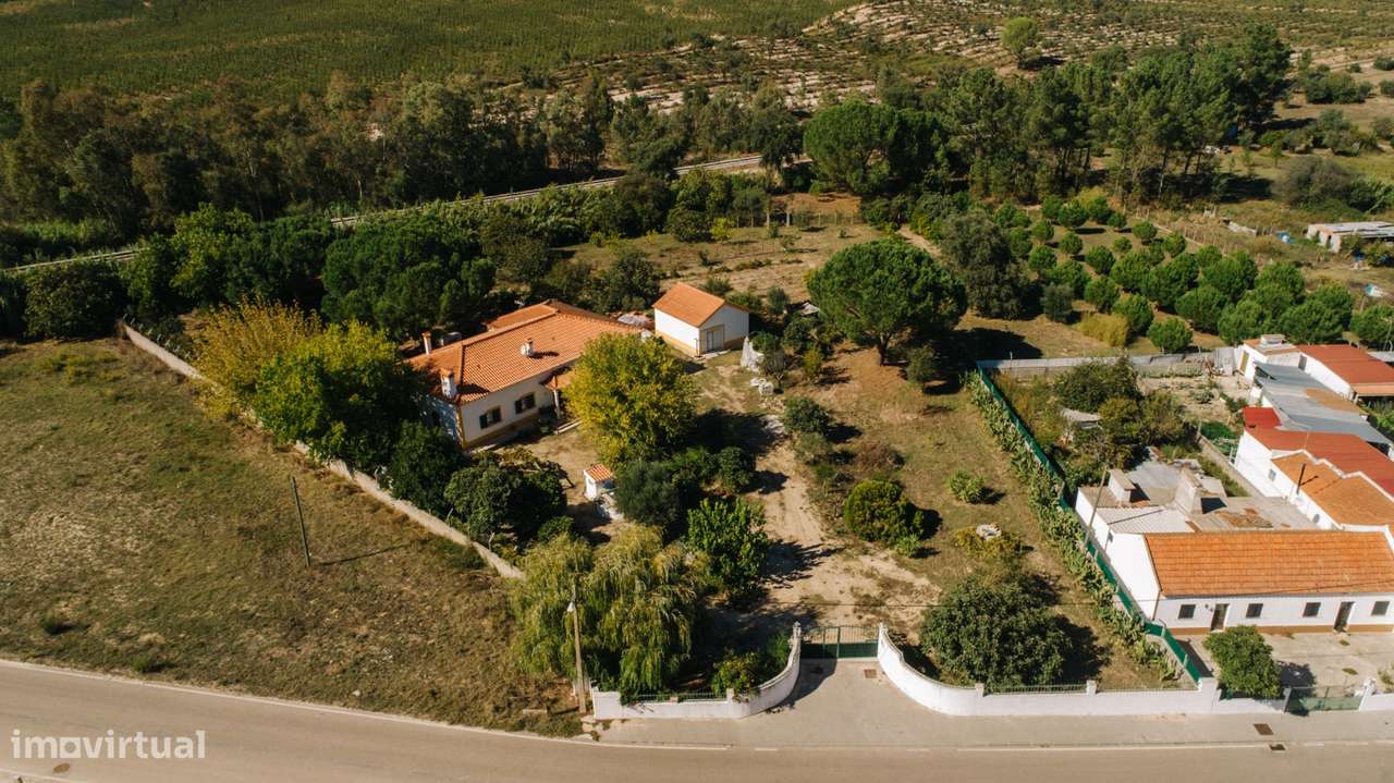 Herdade com 11.250mt2 em Coruche - Grande imagem: 4/29